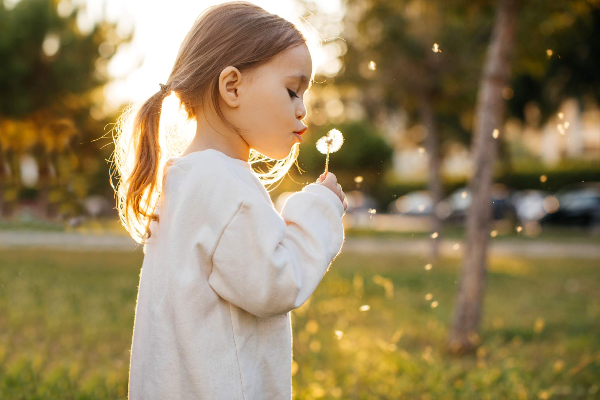 Little girl blowing into a dandelion