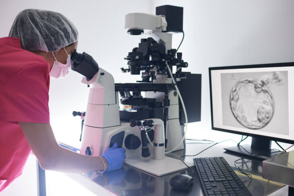 Embryo Disposition Agreements